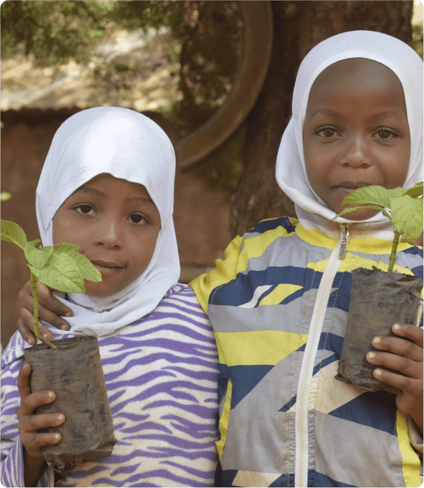 Tree planting initiative